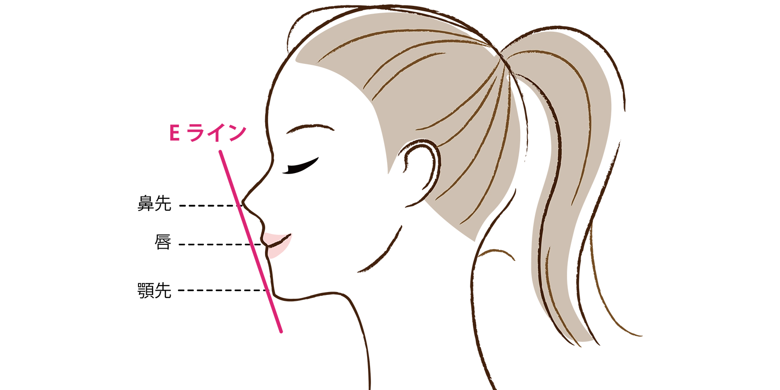 横顔の「Eライン」とは
